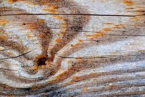 Old wooden background. photo