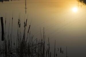 Sunset landscape. Pond at sunset time. Evening color of sky. photo