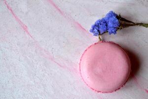 Colorful macaroons on the pink textured table. Tasty background. Sweet beautiful cakes. photo