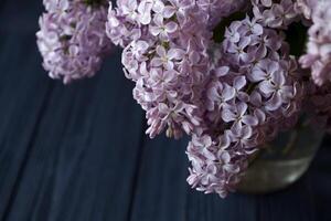 The bouquet of lilac on a dark blue wooden background. Macro shot. photo