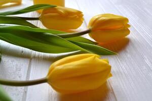 amarillo tulipanes en un blanco de madera antecedentes. foto