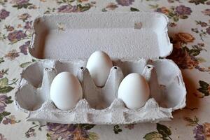 White eggs in a container box close up. photo