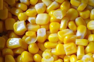 Canned corn background. photo