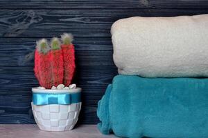 Pink cactus and plaids. Cozy home. Bright accessories for home. photo