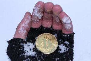 Golden bitcoin in male hand. Gold coin of cryptocurrency. photo