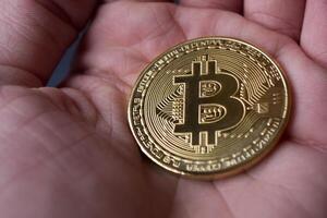 Golden bitcoin and dollars in male hand on a dark blue wooden background. Gold coin of cryptocurrency. photo