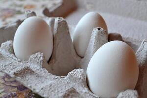 White eggs in a container box close up. photo