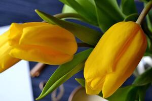 amarillo tulipanes en el oscuro azul de madera antecedentes. foto