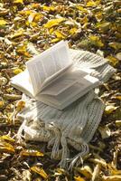 Open book in autumn park, close up. photo