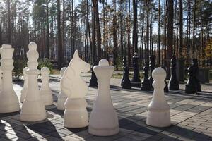 Chess board in the forest park. Big figures of chess. photo