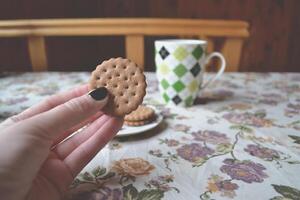 The biscuit in woman hand. Morning breakfast photo