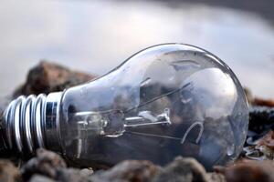 Light bulb in the water. Electricity lamp. photo