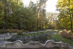 Autumn park. Yellow foliage. Beautiful and peaceful place. Autumn landscape. photo