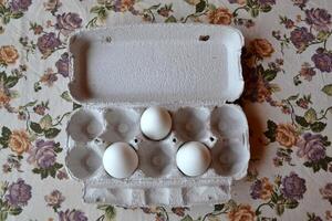 White eggs in a container box close up. photo