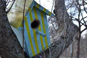 Colorful birdhouse on the tree. Nesting box. photo