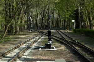 Railway road in a forest. photo