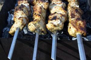 Meat in spices cooking on a fire outdoor. Barbecue background. photo