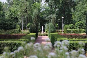 The garden in the park of palace. photo