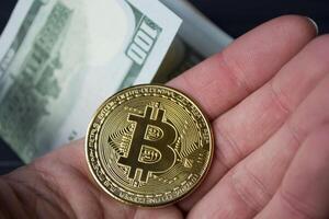 Golden bitcoin and dollars in male hand on a dark blue wooden background. Gold coin of cryptocurrency. photo