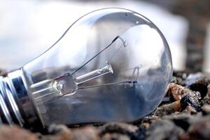 Light bulb in the water. Electricity lamp. photo