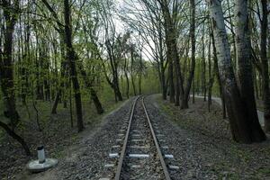 ferrocarril la carretera en un bosque. foto