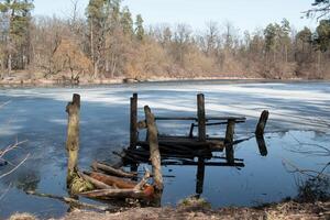 Spring forest landscape. photo