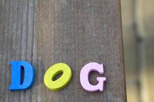 Multicolor letters on a dark blue wooden background. The word dog from colorful wooden letters on a table. photo