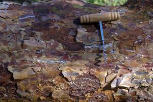 The corkscrew against old wooden background. photo