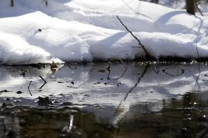 The snow melting near the river in forest photo