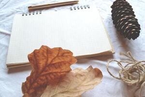 Opened sketchbook with pen and elements of decorarion. Minimalistic scandinavian flat lay. photo