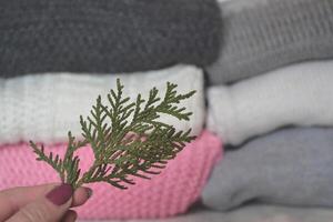 The branch of conifer tree in woman's hand. photo