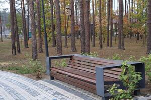 vacío banco en el conífero bosque parque. foto