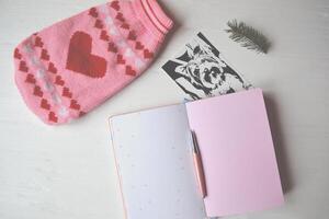 Cute objects on the white desk. Notebook. Photography. Sweater for dog. Dog cloth. Background for message. photo