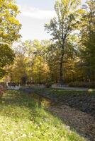otoño parque. amarillo follaje. hermosa y pacífico lugar. otoño paisaje. foto
