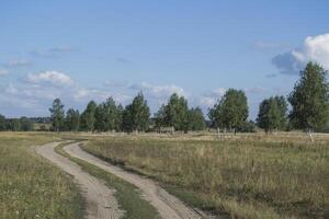 Off road in a wild field. photo