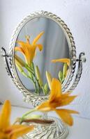 The orange lily near mirror. Flowers and mirror reflection. photo