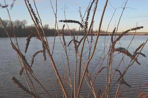 Nature landscape in winter. photo