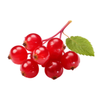 AI generated Pattern watercolor red ripe currant berries png