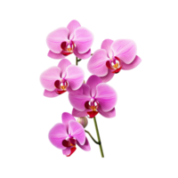 AI generated Purple flowers orchids png