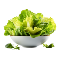 ai généré salade dans une blanc bol png