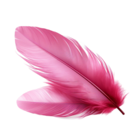 AI generated A feather with pink and black feathers png