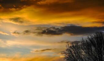 different colorful clouds at the sunset with a tree panorama photo