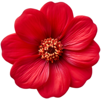 ai généré été fleur rouge dahlia png