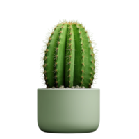 AI generated Bunch cactus plants pot png