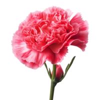 AI generated Flower Mothers Day png