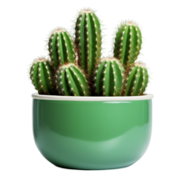ai generiert Kaktus Pflanze Zimmerpflanze Frische png