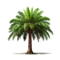 AI generated Palm tree in 3d rendering png