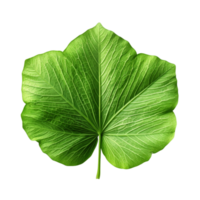 AI generated A green leaf of a plant png