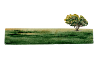 Tree on green grass. Nature, park, lawn, field, greenery landscape design composition for adventure, tourism, outdoors. Copy space template. Watercolor illustration on transparent background png