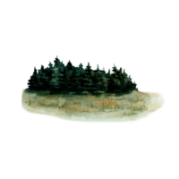 Green tree tops, grass strip and fir tree backdrop. Pines  forest clearing. Watercolor illustration on transparent background. Hand drawn element for tourism, outdoors, off-roading, camping designs png